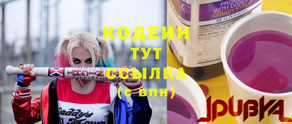 кокс Ельня