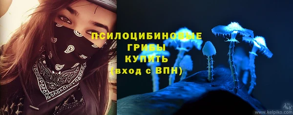 бошки Дмитровск