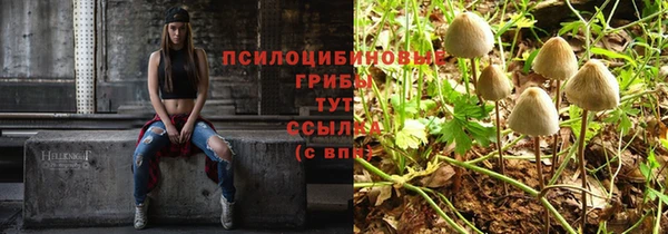 эйфоретик Дмитров