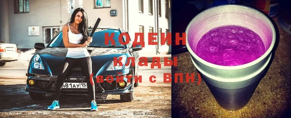 молекула духа Дмитриев