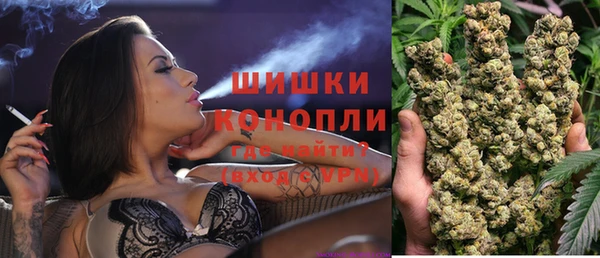 молекула духа Дмитриев