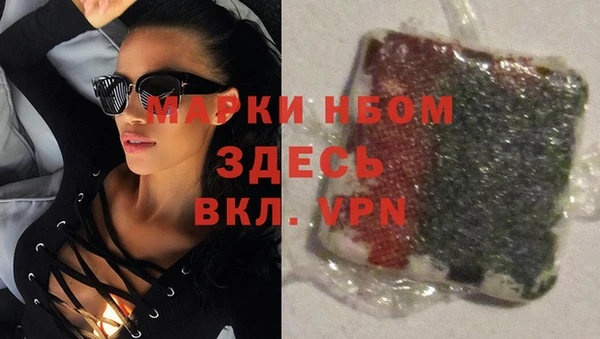 кокс Ельня