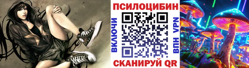 Галлюциногенные грибы Cubensis  Купить закладки  Заполярный 